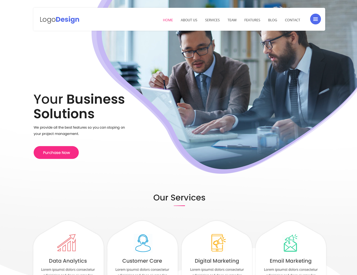 lz-software-company-pro